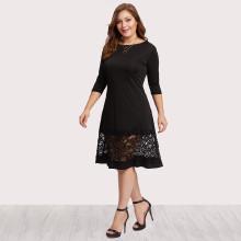 Shein Plus Lace Panel Dress