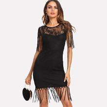 Shein Fringe Embellished Zip Back Lace Dress