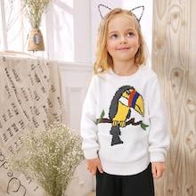 Shein Toddler Girls Bird Print Sweater