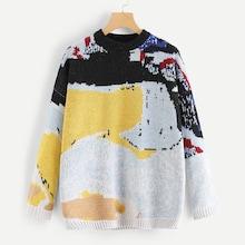 Shein Plus Graphic Print Jumper