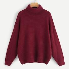 Shein Plus Roll Neck Drop Shoulder Jumper