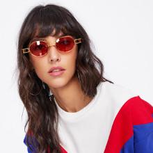 Shein Tinted Lens Double Bridge Sunglasses