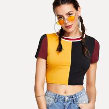 Shein Striped Neckline Color Block Crop Tee