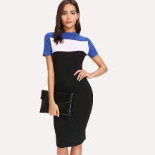 Shein Colorblock Bodycon Dress