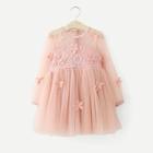 Shein Toddler Girls Contrast Lace Appliques Dress