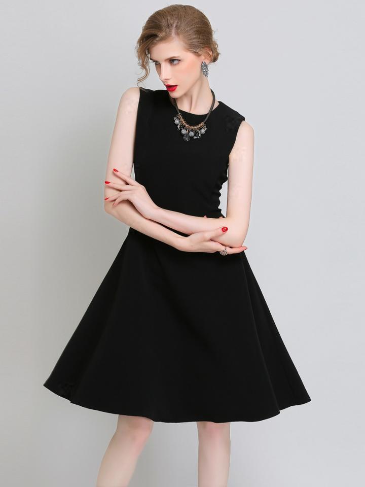 Shein Black Sleeveless Zipper Back A Line Dress