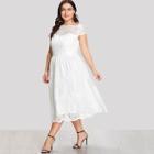Shein Plus Scallop Trim Sweetheart Neck Lace Dress