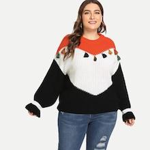 Shein Plus Tassel Detail Color Block Sweater