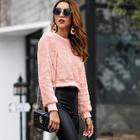 Shein Solid Crop Teddy Sweatshirt