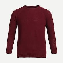 Shein Men Raglan Sleeve Solid Knit Jumper