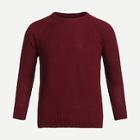 Shein Men Raglan Sleeve Solid Knit Jumper