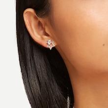 Shein Double Star Stud Earrings