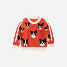 Shein Toddler Boys Cartoon Print Contrast Raglan Sleeve Sweater