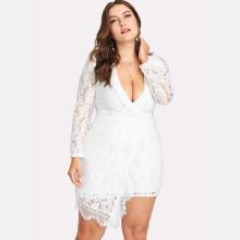 Shein Plus Lace Deep V Neckline Asymmetrical Hem Dress