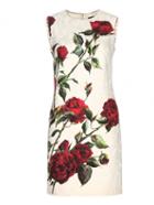 Shein White Round Neck Sleeveless Rose Print Dress