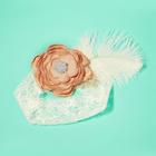 Shein Toddler Girls Flower & Rhinestone & Feather Decorated Lace Headband