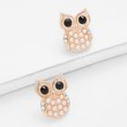 Shein Owl Shaped Stud Earrings