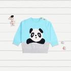 Shein Toddler Boys Rib Trim Panda Sweater
