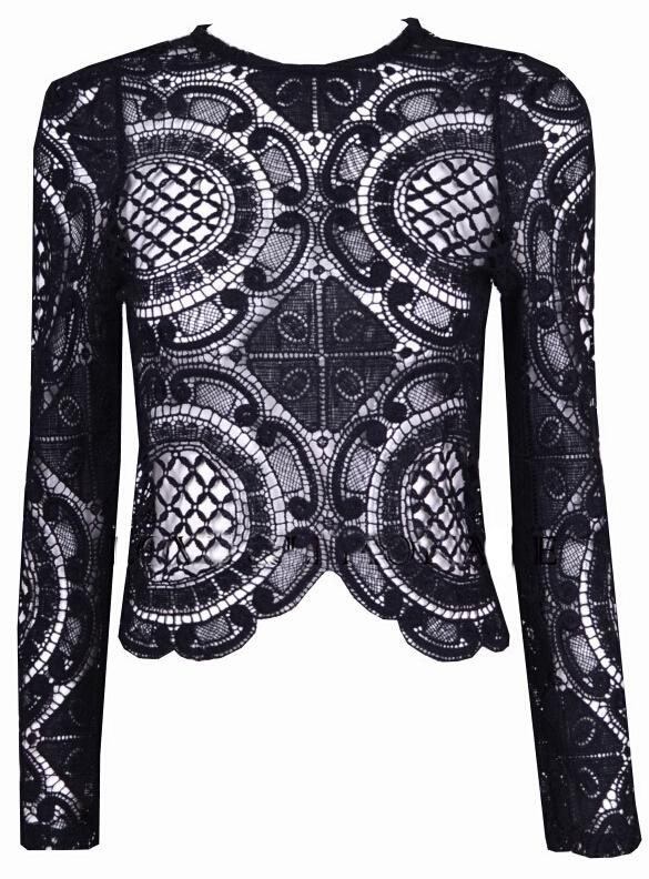 Shein Black Long Sleeve Hollow With Zipper Lace Blouse