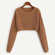 Shein Round Collar Crop Pullover