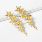 Shein Metal Star Hair Clip 1pair