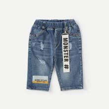 Shein Boys Letter Print Destroyed Denim Shorts
