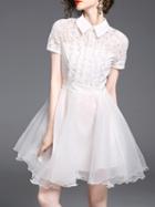 Shein Flounce Contrast Lace Scallop Dress