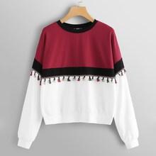 Shein Plus Tassel Detail Color Block Pullover