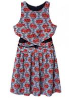 Rosewe Alluring Round Neck Print Skater Dress With Cutout Design