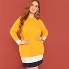 Shein Plus Colorblock Tunic Dress