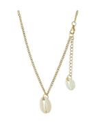 Shein Gold Latest Chain Necklace With Shell