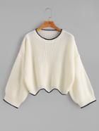 Shein White Contrast Trim Scallop Edge Crop Sweater
