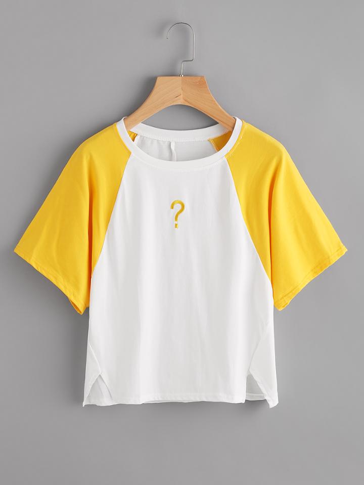 Shein Contrast Raglan Sleeve Embroidered Tee