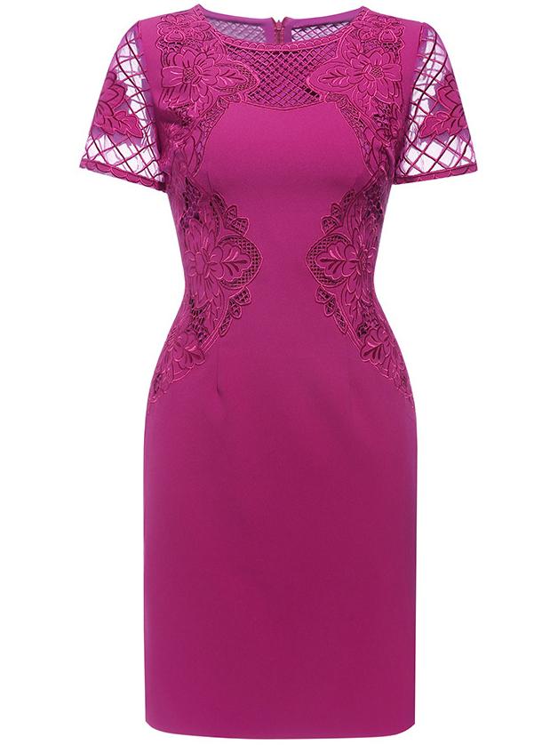 Shein Hot Pink Sheer Gauze Embroidered Sheath Dress