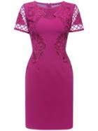 Shein Hot Pink Sheer Gauze Embroidered Sheath Dress