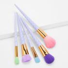 Shein Multi Color Bristle Makeup Brush 5pcs