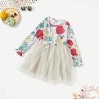 Shein Toddler Girls Floral Print Mesh Overlay Dress