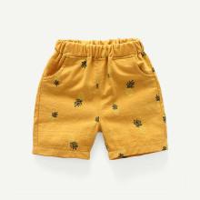Shein Boys Pineapple Print Elastic Waist Shorts