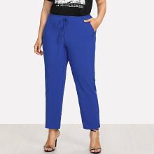 Shein Plus Drawstring Waist Solid Pants