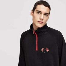 Shein Men Zip Half Placket Raglan Sleeve Pullover