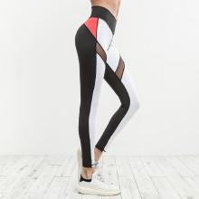 Shein Mesh Panel Color Block Leggings