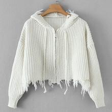 Shein Frayed Hem Drawstring Hooded Sweater