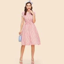 Shein Lace Trim Fit & Flare Pinstripe Dress With Belt