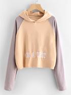 Shein Contrast Raglan Sleeve Letter Embroidered Hoodie