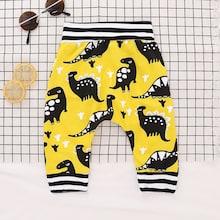 Shein Toddler Boys Contrast Trim Dinosaur Print Pants