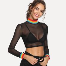 Shein Contrast Rainbow Striped Trim Sheer Mesh Tee Without Bra