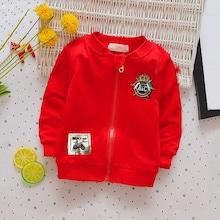 Shein Toddler Boys Embroidery Detail Jacket