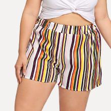 Shein Plus Multi Striped Shorts