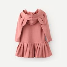 Shein Toddler Girls Rabbit Decoration Pleated Sweat Dress
