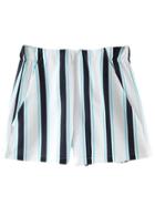 Shein Multicolor Zipper Back Pockets Vertical Stripe Shorts